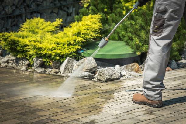 Best Pre-Holiday Cleaning  in Washington, KS